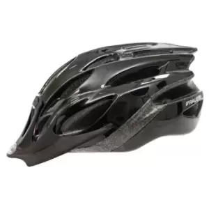 Image of Raleigh Mission Evo Helmet - Silver