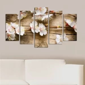 Image of 5PMDF-30 Multicolor Decorative MDF Painting (5 Pieces)