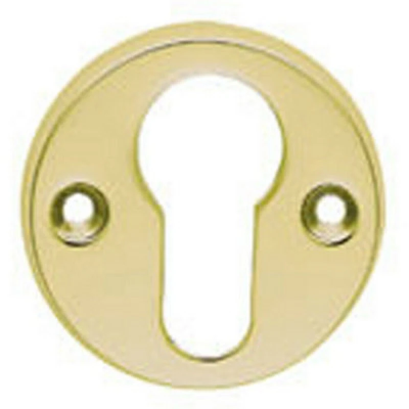 Image of Loops 45mm Euro Profile Open Escutcheon 8mm Depth Polished Brass Keyhole Cover Metallics unisex