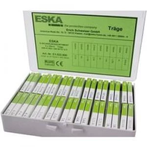 Image of Micro fuse set x L 5mm x 20 mm time delay T