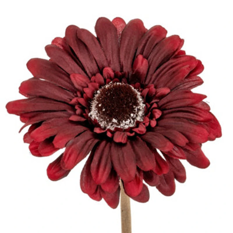 Image of Hill Interiors Soft Gerbera Gerbera Artificial Flower Burgundy (One Size)
