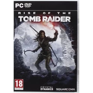 Image of Rise of the Tomb Raider PC Game