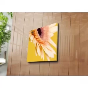 Image of 4545C-86 Multicolor Decorative Canvas Painting