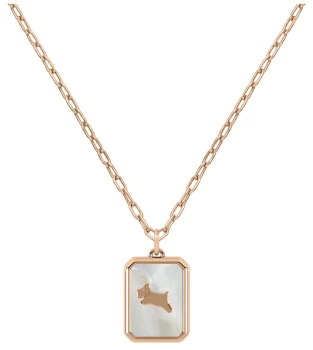 Image of Radley Fashion Rose Gold Plated Sterling Silver Jewellery