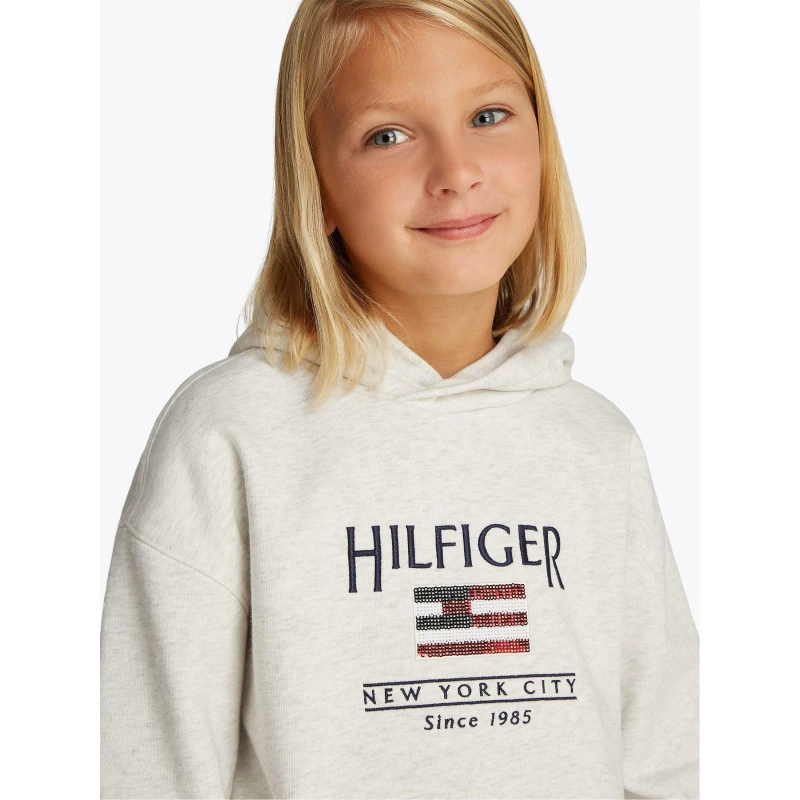Image of Tommy Hilfiger Kids Sequin Flag Pull Over Hoodie Wht Heather PMT female 4Y