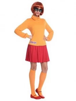 Image of Adult Scooby Doo Velma Costume