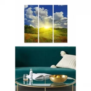 Image of MDF97335824 Multicolor Decorative MDF Painting (3 Pieces)