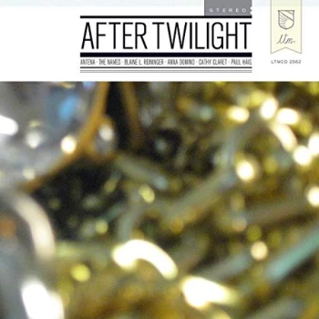 Image of V/A Indie - After Twilight CD