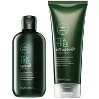 Image of Paul Mitchell Tea Tree Tea Tree Special Care and Treat Duo