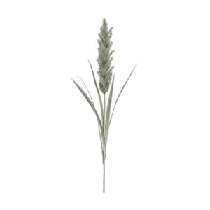 Image of Crossland Grove Pampas Spray Ivory 1220Mm