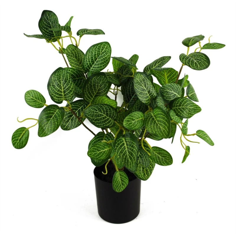 Image of Unbranded 40cm Variegated Pothos Plant: Lifelike, Quality, Elegant Indoor Decor
