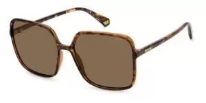 Image of Polaroid Sunglasses PLD 6128/S Polarized 9N4/SP