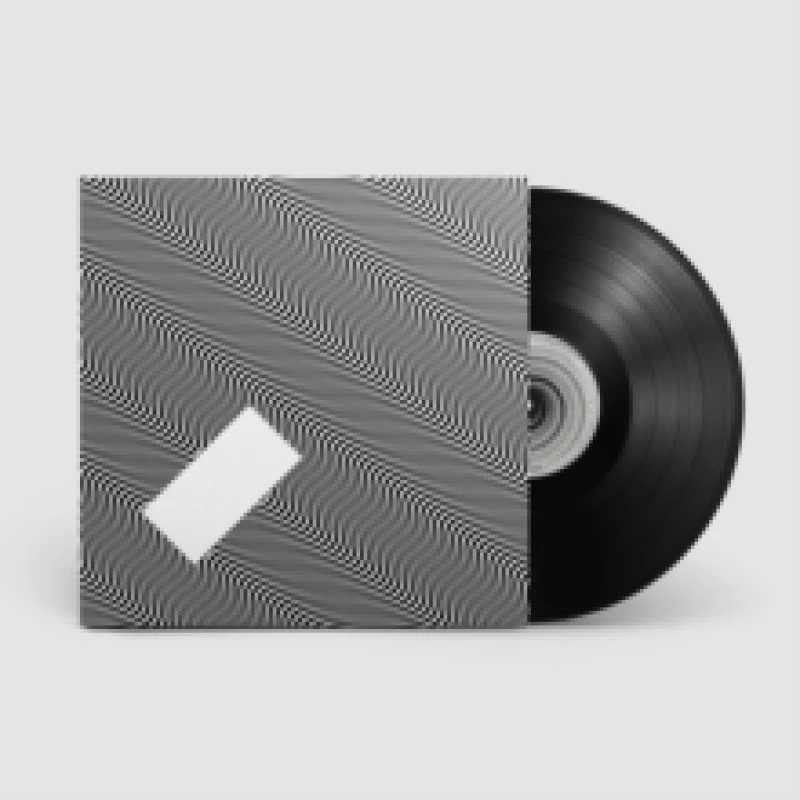 Image of In Waves Vinyl