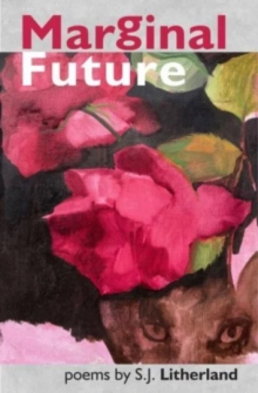 Image of Marginal Future Paperback / softback
