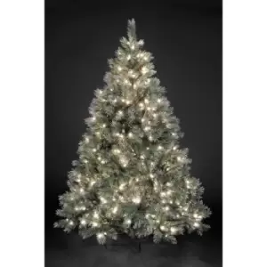 Image of Pre-Lit Frosted Emerald Fir Christmas Tree