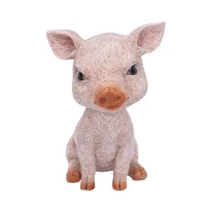 Image of Bob Trotter Pig Bobble Head Figure