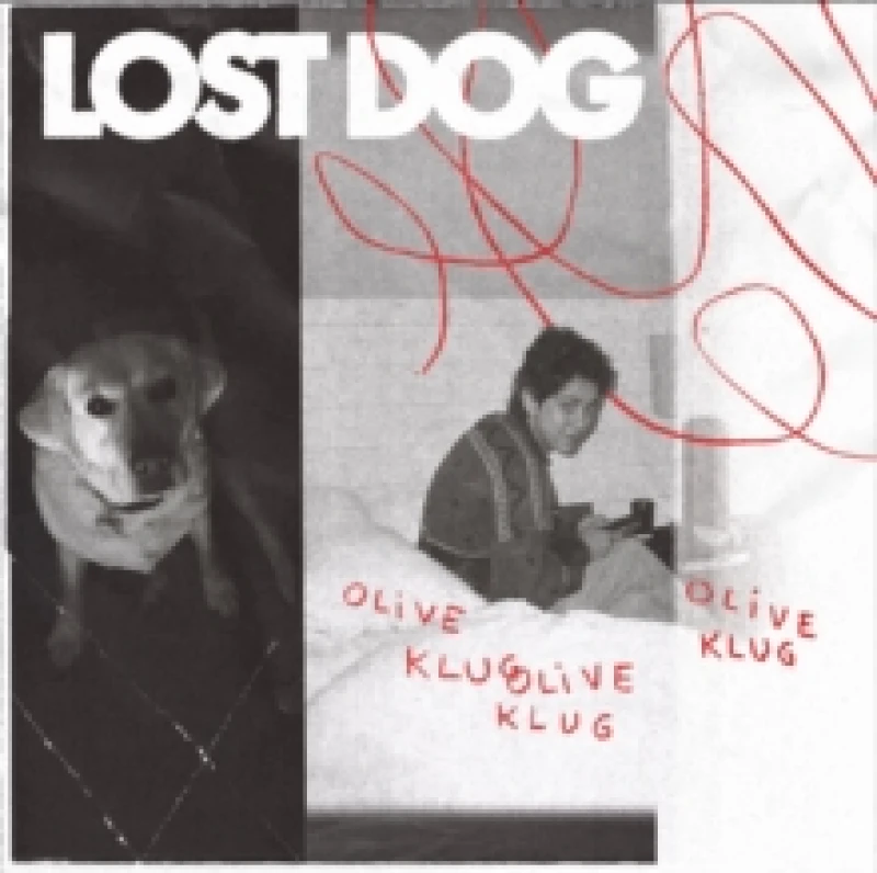 Image of Lost Dog CD / Album