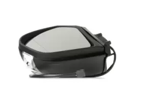 Image of ALKAR Wing mirror MERCEDES-BENZ 6125557 1698100376,1698100721,16981101607C45 1698200521,A1698100376,A1698100721,A16981101607C45,A1698200521