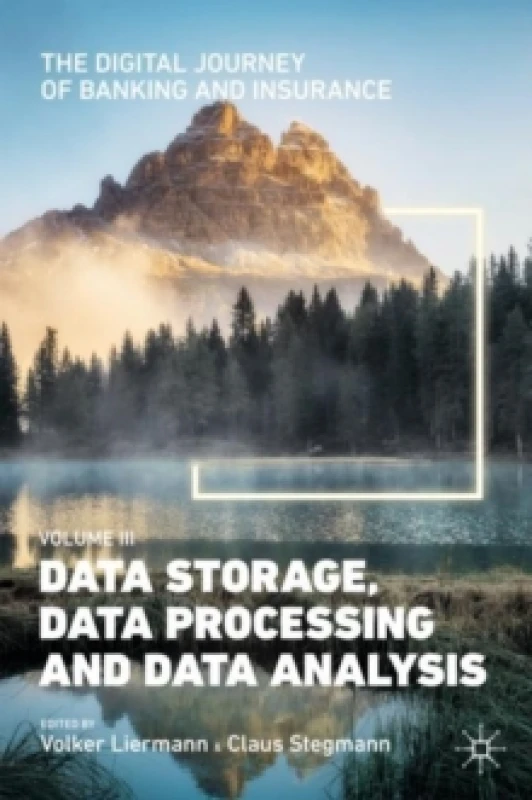 Image of The Digital Journey of Banking and Insurance, Volume III : Data Storage, Data Processing and Data Analysis Hardback