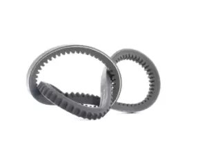 Image of Bosch V Belt MERCEDES-BENZ,RENAULT,FIAT 1 987 947 648 60805196,60806474,7629235 Fenner Belt 7651549,7655544,2521342100,2521542000,5718143000,4827114