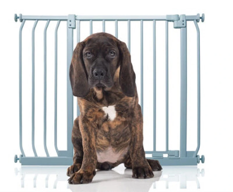 Image of Bettacare Elite Pressure Dog Gate, 89Cm - 98Cm, Matt Grey, Pressure Fit Pet Gate For Dog And Puppy