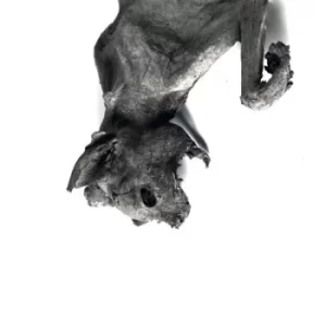 Image of Metempsychosis by Nordvargr CD Album