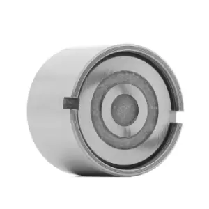 Image of AE Tappet FOL263 Valve Tappet,Engine Tappet FORD,FIAT,ALFA ROMEO,KA (RU8),GRANDE PUNTO (199),PANDA (169),500 (312),PUNTO (188),PUNTO EVO (199)