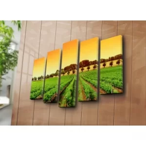 Image of 5PATK-127 Multicolor Decorative Canvas Painting (5 Pieces)