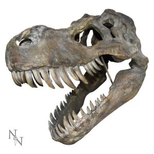 Image of Tyrannosaurus Rex Large Skull