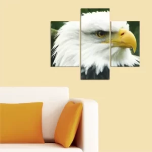 Image of A11 Multicolor Decorative MDF Painting (3 Pieces)