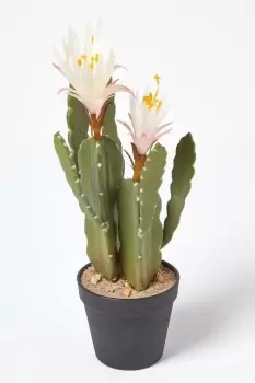 Image of Artificial Cactus Queen Of The Night Flower In Black Pot, 41cm Tall