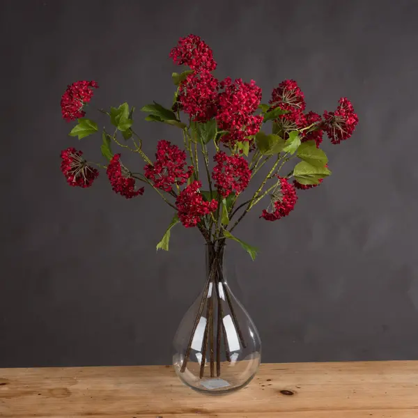 Image of Red Autumnal Viburnum