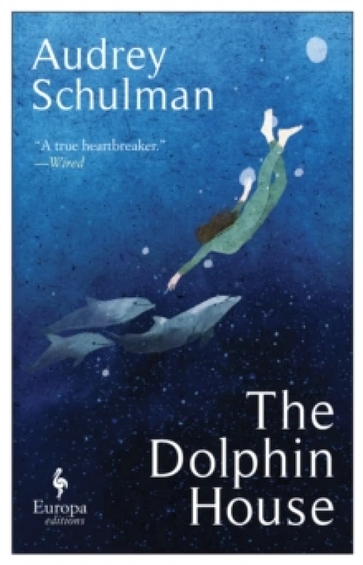 Image of The Dolphin House : A moving novel on connection and community Paperback / softback