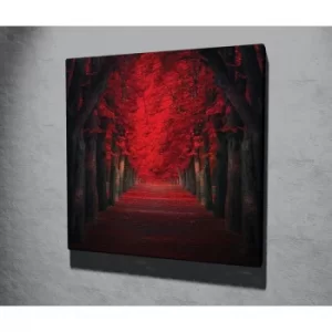 Image of KC262 Multicolor Decorative Canvas Painting