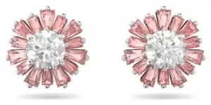 Image of Swarovski 5642962 Sunshine Stud Earrings Rhodium Plated Jewellery