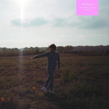 Image of Tim Burgess - Ascent Of The Ascended Orange Vinyl