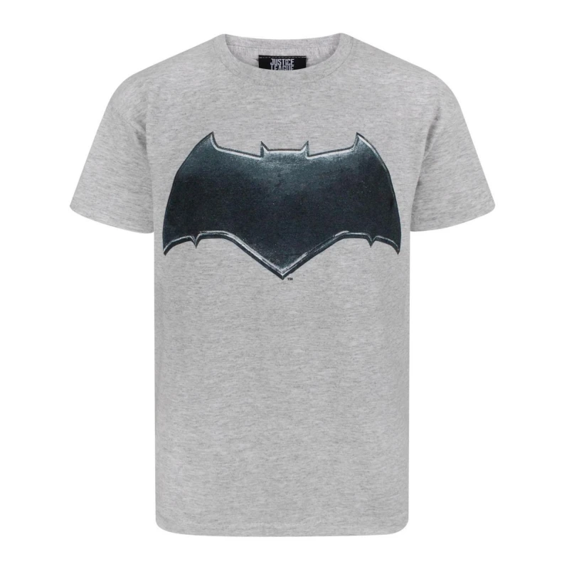 Image of DC Comics Short Sleeved T-Shirt Multi male
