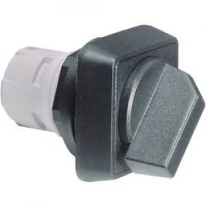 Image of Option key Black 2 x 40 RAFI