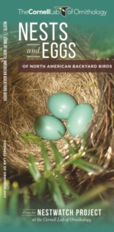 Image of Nests and Eggs of North American Backyard Birds Pamphlet