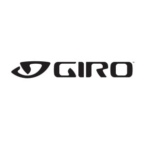 Image of GIRO Air Attack Eye Shield Silver