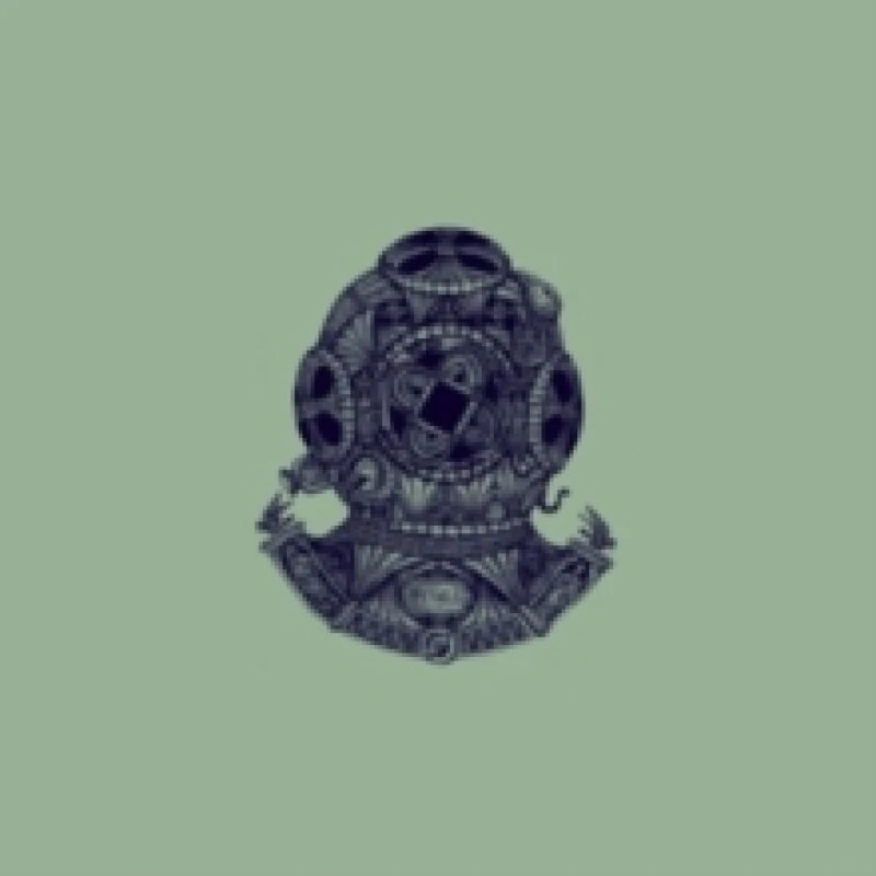 Image of Haelligewielle Vinyl