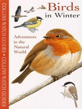 Image of Birds in Winter by Marc Duquet and Franois Desbordes Book