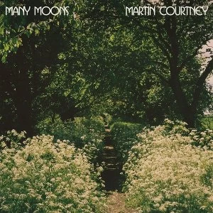 Image of Martin Courtney - Many Moons Vinyl