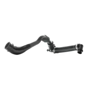 Image of RIDEX Crankcase Breather from cylinder head cover to suction pipe 1600H0016 Crankcase Ventilation,Hose, crankcase breather VW,AUDI,SEAT