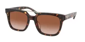 Image of Tory Burch Sunglasses TY7166U 172813