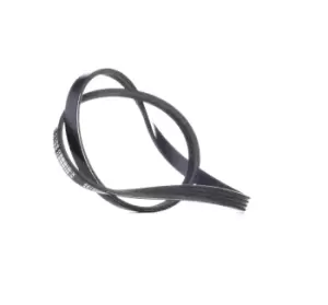 Image of RIDEX V-ribbed belt RENAULT,PEUGEOT,HYUNDAI 305P0016 128059,24100557,7743660 38920P08003,38920P08004,38920P75A010,38920P75A02,38920PM3003,38920PM30030