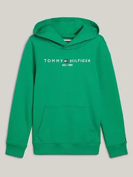 Image of Tommy Hilfiger Boys Essential Hoodie - Olympic Green, Size 4 Years Green VSUD4 Unisex 4 YEARS