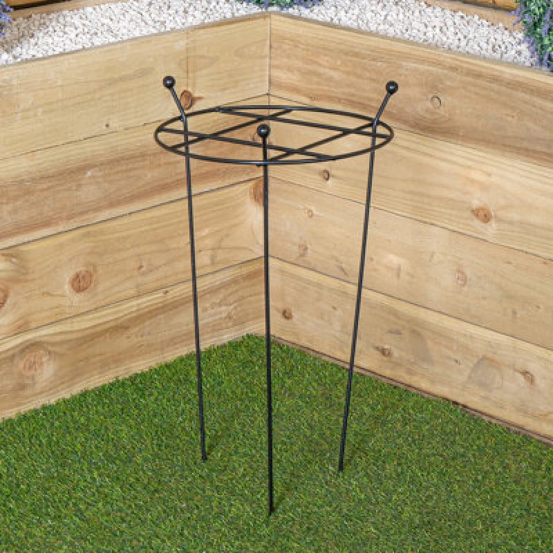 Image of Samuel Alexander Tom Chambers Cottage Heavy Duty Black Metal Steel Herbaceous Garden Plant Support Grow Through Small 60cm x 35cm Black unisex