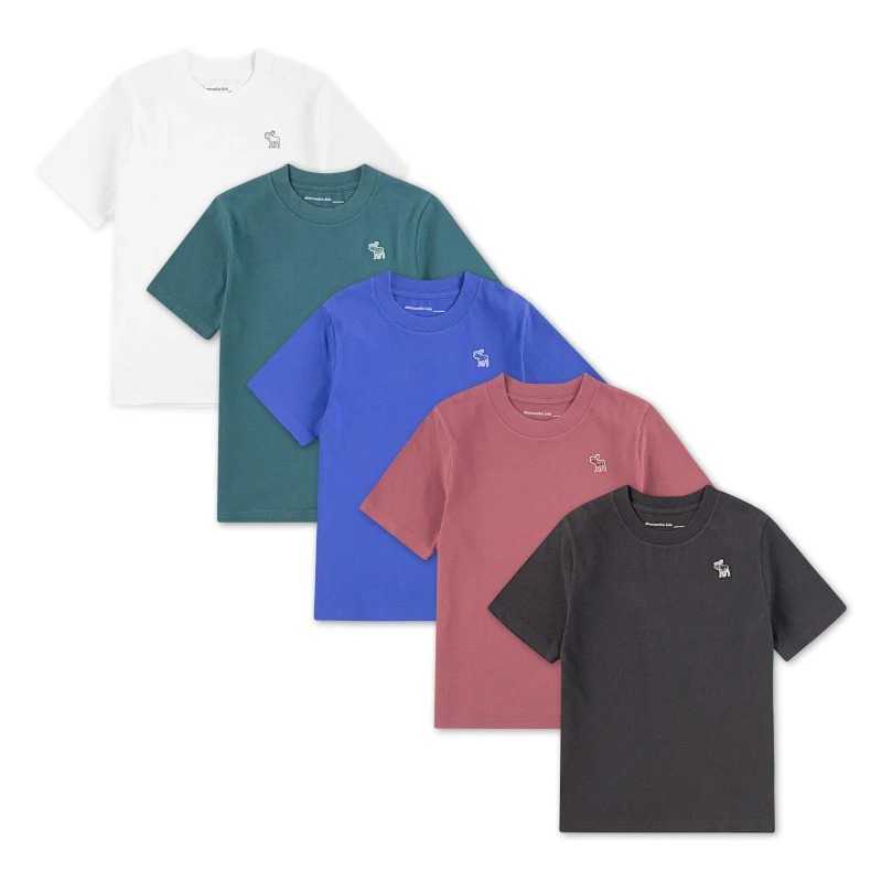 Image of Abercrombie and Fitch A and F 5Pk T-Shirts Jn62 Clothing Sets 7-8Y Multi 51143699175