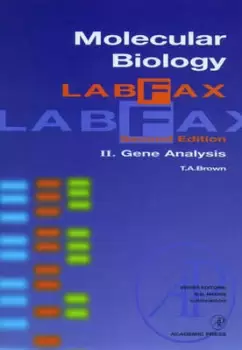 Image of Molecular biology labfax by T. A Brown